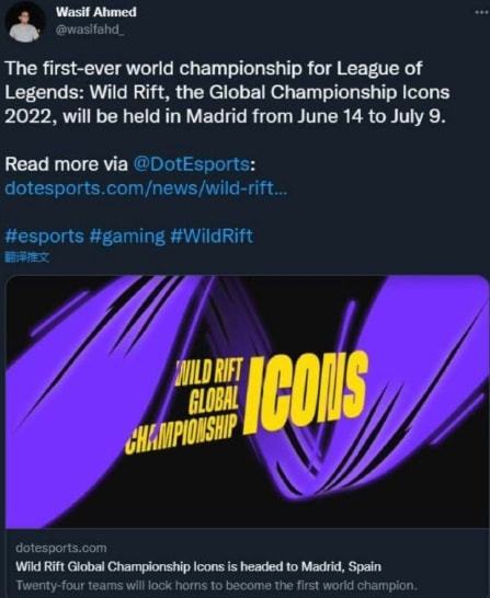 战术角色的 战术角色的